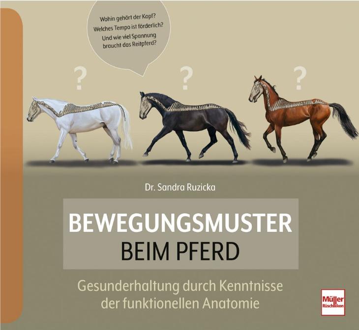 Buchcover: Bewegungsmuster beim Pferd