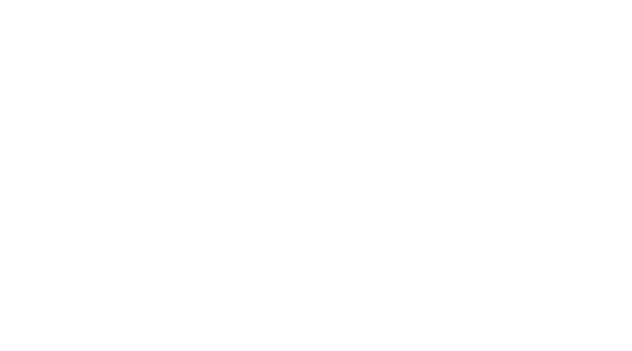 Reiter Revue international