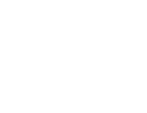 Christine Hlauscheck – Meistertrainer Ausbildung